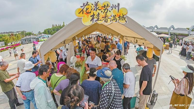 “花漾苏州，桂香满城”市集开市