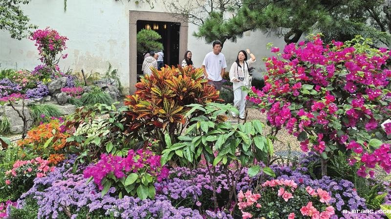 留园百花齐放 吸引游人观赏