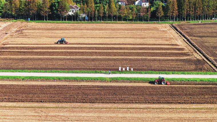 昆山天福湿地公园开展水稻收割后农田耕整作业 助力生态系统平衡