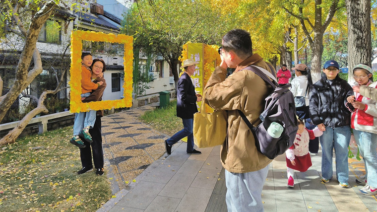 道前街“杏”运相框 落叶时节的打卡新宠